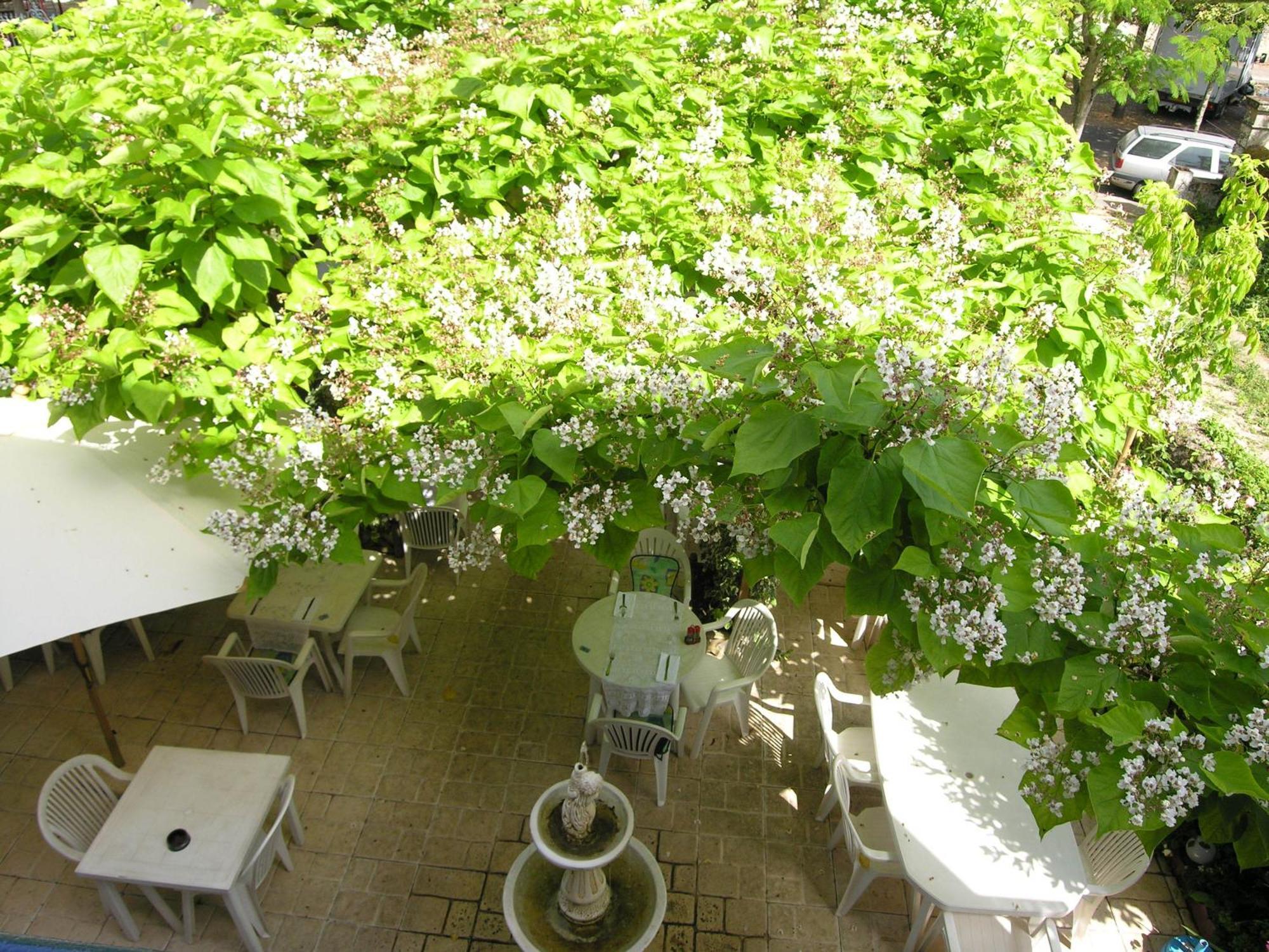 Appart'Hotel Les Tilleuls Saint-Macaire 외부 사진
